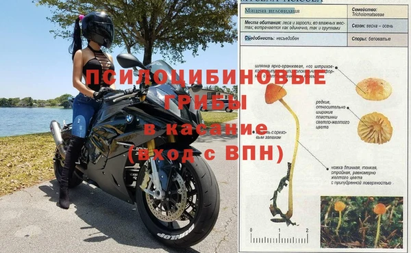 круглые Аркадак